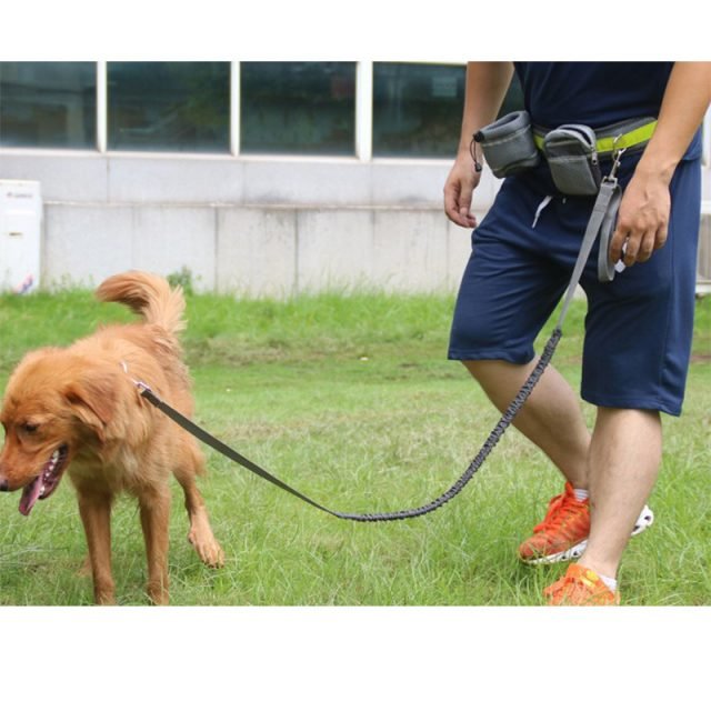 NG SOLUTIONS PRODUCTS - Adjustable Hands Free Dog Leash