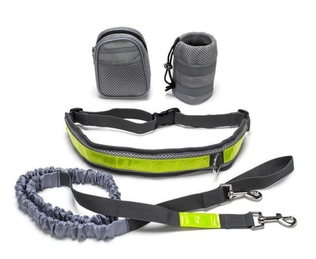 NG SOLUTIONS PRODUCTS - Adjustable Hands Free Dog Leash