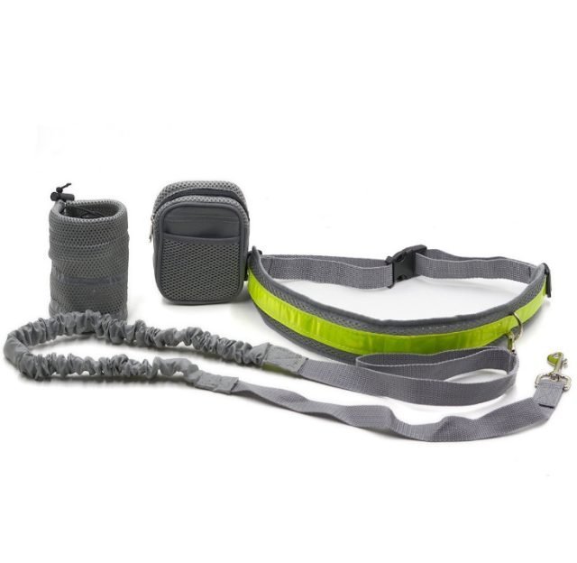 NG SOLUTIONS PRODUCTS - Adjustable Hands Free Dog Leash