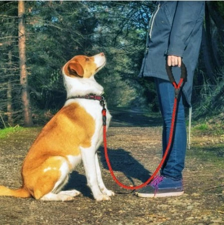 NG SOLUTIONS PRODUCTS - Reflective Dog Leash Nylon Pet Dog Leash
