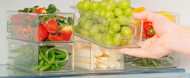 NG SOLUTIONS PRODUCTS-Clear Storage Containers with handles
